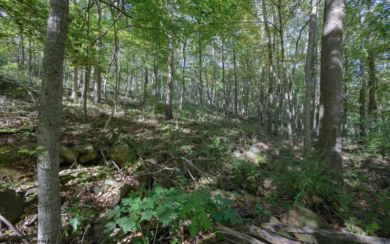 Lot 1 Panther Hollow Road, Wellsburg, West Virginia 26070, 0 , 0 ,0,Lots/land,For Sale,Panther Hollow,0,10167405 Lot 1 Panther Hollow Road, Wellsburg, West Virginia 26070, 0 , 0 ,0,Lots/land,For Sale,Panther Hollow,0,10167405