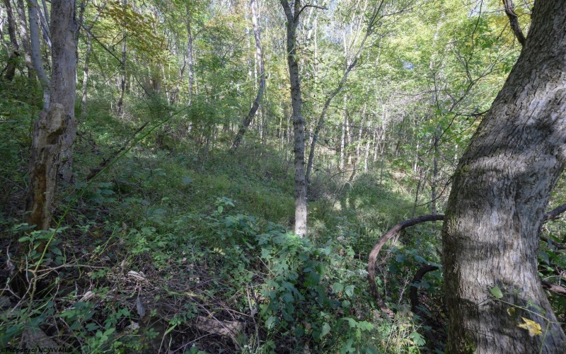 Lot 1 Panther Hollow Road, Wellsburg, West Virginia 26070, 0 , 0 ,0,Lots/land,For Sale,Panther Hollow,0,10167405 Lot 1 Panther Hollow Road, Wellsburg, West Virginia 26070, 0 , 0 ,0,Lots/land,For Sale,Panther Hollow,0,10167405