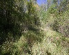 Lot 1 Panther Hollow Road, Wellsburg, West Virginia 26070, 0 , 0 ,0,Lots/land,For Sale,Panther Hollow,0,10167405 Lot 1 Panther Hollow Road, Wellsburg, West Virginia 26070, 0 , 0 ,0,Lots/land,For Sale,Panther Hollow,0,10167405