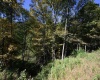 Lot 1 Panther Hollow Road, Wellsburg, West Virginia 26070, 0 , 0 ,0,Lots/land,For Sale,Panther Hollow,0,10167405 Lot 1 Panther Hollow Road, Wellsburg, West Virginia 26070, 0 , 0 ,0,Lots/land,For Sale,Panther Hollow,0,10167405