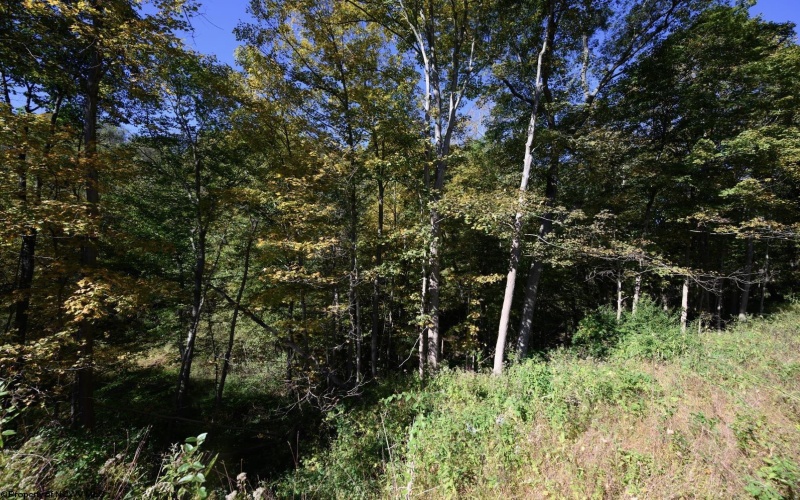Lot 1 Panther Hollow Road, Wellsburg, West Virginia 26070, 0 , 0 ,0,Lots/land,For Sale,Panther Hollow,0,10167405 Lot 1 Panther Hollow Road, Wellsburg, West Virginia 26070, 0 , 0 ,0,Lots/land,For Sale,Panther Hollow,0,10167405