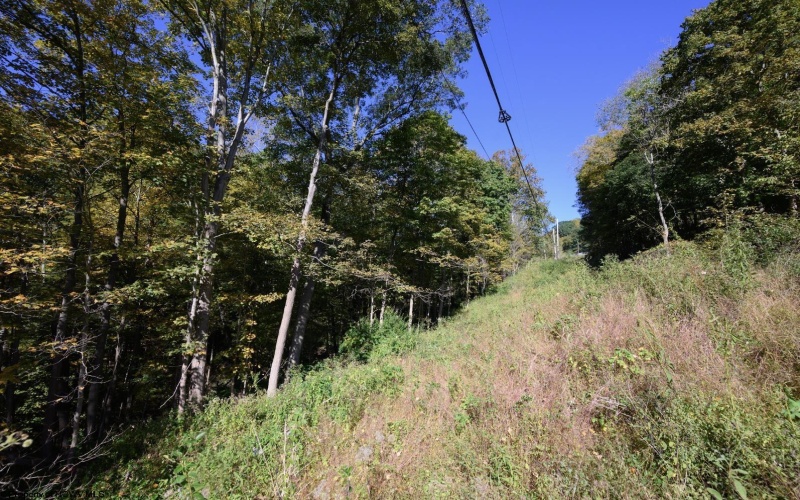 Lot 1 Panther Hollow Road, Wellsburg, West Virginia 26070, 0 , 0 ,0,Lots/land,For Sale,Panther Hollow,0,10167405 Lot 1 Panther Hollow Road, Wellsburg, West Virginia 26070, 0 , 0 ,0,Lots/land,For Sale,Panther Hollow,0,10167405