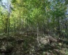 Lot 1 Panther Hollow Road, Wellsburg, West Virginia 26070, 0 , 0 ,0,Lots/land,For Sale,Panther Hollow,0,10167405 Lot 1 Panther Hollow Road, Wellsburg, West Virginia 26070, 0 , 0 ,0,Lots/land,For Sale,Panther Hollow,0,10167405