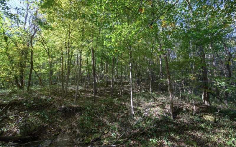 Lot 1 Panther Hollow Road, Wellsburg, West Virginia 26070, 0 , 0 ,0,Lots/land,For Sale,Panther Hollow,0,10167405 Lot 1 Panther Hollow Road, Wellsburg, West Virginia 26070, 0 , 0 ,0,Lots/land,For Sale,Panther Hollow,0,10167405