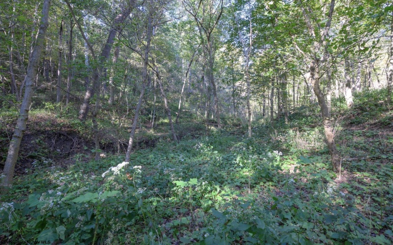 Lot 1 Panther Hollow Road, Wellsburg, West Virginia 26070, 0 , 0 ,0,Lots/land,For Sale,Panther Hollow,0,10167405 Lot 1 Panther Hollow Road, Wellsburg, West Virginia 26070, 0 , 0 ,0,Lots/land,For Sale,Panther Hollow,0,10167405