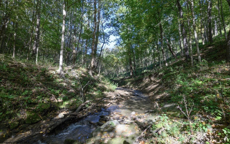 Lot 1 Panther Hollow Road, Wellsburg, West Virginia 26070, 0 , 0 ,0,Lots/land,For Sale,Panther Hollow,0,10167405 Lot 1 Panther Hollow Road, Wellsburg, West Virginia 26070, 0 , 0 ,0,Lots/land,For Sale,Panther Hollow,0,10167405