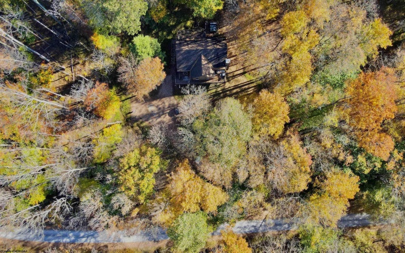 868 Cabin Mountain Road, Davis, West Virginia 26260, 5 Bedroom Bedrooms, 8 Room Rooms,3 BathroomBathrooms,Single Family Detached,For Sale,Cabin Mountain,0,10167403 868 Cabin Mountain Road, Davis, West Virginia 26260, 5 Bedroom Bedrooms, 8 Room Rooms,3 BathroomBathrooms,Single Family Detached,For Sale,Cabin Mountain,0,10167403