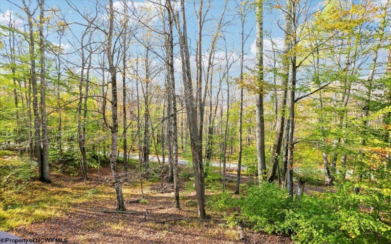 868 Cabin Mountain Road, Davis, West Virginia 26260, 5 Bedroom Bedrooms, 8 Room Rooms,3 BathroomBathrooms,Single Family Detached,For Sale,Cabin Mountain,0,10167403 868 Cabin Mountain Road, Davis, West Virginia 26260, 5 Bedroom Bedrooms, 8 Room Rooms,3 BathroomBathrooms,Single Family Detached,For Sale,Cabin Mountain,0,10167403