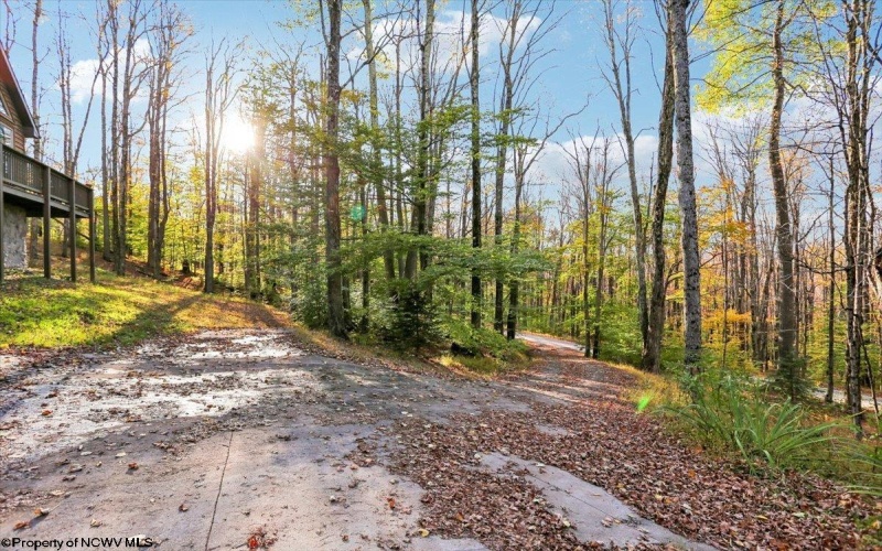 868 Cabin Mountain Road, Davis, West Virginia 26260, 5 Bedroom Bedrooms, 8 Room Rooms,3 BathroomBathrooms,Single Family Detached,For Sale,Cabin Mountain,0,10167403 868 Cabin Mountain Road, Davis, West Virginia 26260, 5 Bedroom Bedrooms, 8 Room Rooms,3 BathroomBathrooms,Single Family Detached,For Sale,Cabin Mountain,0,10167403