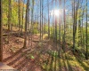 868 Cabin Mountain Road, Davis, West Virginia 26260, 5 Bedroom Bedrooms, 8 Room Rooms,3 BathroomBathrooms,Single Family Detached,For Sale,Cabin Mountain,0,10167403 868 Cabin Mountain Road, Davis, West Virginia 26260, 5 Bedroom Bedrooms, 8 Room Rooms,3 BathroomBathrooms,Single Family Detached,For Sale,Cabin Mountain,0,10167403