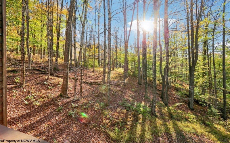 868 Cabin Mountain Road, Davis, West Virginia 26260, 5 Bedroom Bedrooms, 8 Room Rooms,3 BathroomBathrooms,Single Family Detached,For Sale,Cabin Mountain,0,10167403 868 Cabin Mountain Road, Davis, West Virginia 26260, 5 Bedroom Bedrooms, 8 Room Rooms,3 BathroomBathrooms,Single Family Detached,For Sale,Cabin Mountain,0,10167403