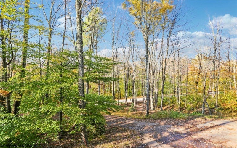 868 Cabin Mountain Road, Davis, West Virginia 26260, 5 Bedroom Bedrooms, 8 Room Rooms,3 BathroomBathrooms,Single Family Detached,For Sale,Cabin Mountain,0,10167403 868 Cabin Mountain Road, Davis, West Virginia 26260, 5 Bedroom Bedrooms, 8 Room Rooms,3 BathroomBathrooms,Single Family Detached,For Sale,Cabin Mountain,0,10167403