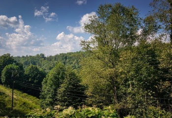 TBD Birds Creek Road, Tunnelton, West Virginia 26444, 0 , 0 ,0,Lots/land,For Sale,Birds Creek,0,10167427