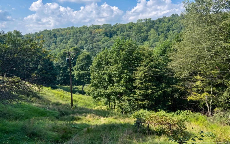 TBD Birds Creek Road, Tunnelton, West Virginia 26444, 0 , 0 ,0,Lots/land,For Sale,Birds Creek,0,10167427 TBD Birds Creek Road, Tunnelton, West Virginia 26444, 0 , 0 ,0,Lots/land,For Sale,Birds Creek,0,10167427