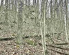 496 Dillon Hollow Road, Jane Lew, West Virginia 26378, 0 , 0 ,0,Lots/land,For Sale,Dillon Hollow,0,10163995