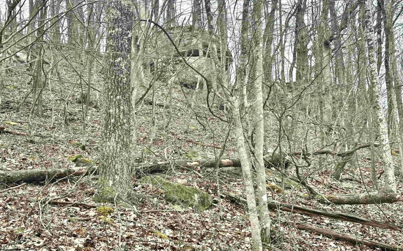 496 Dillon Hollow Road, Jane Lew, West Virginia 26378, 0 , 0 ,0,Lots/land,For Sale,Dillon Hollow,0,10163995