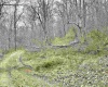 496 Dillon Hollow Road, Jane Lew, West Virginia 26378, 0 , 0 ,0,Lots/land,For Sale,Dillon Hollow,0,10163995