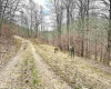 496 Dillon Hollow Road, Jane Lew, West Virginia 26378, 0 , 0 ,0,Lots/land,For Sale,Dillon Hollow,0,10163995