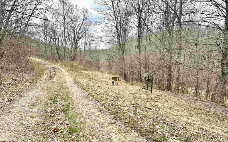 496 Dillon Hollow Road, Jane Lew, West Virginia 26378, 0 , 0 ,0,Lots/land,For Sale,Dillon Hollow,0,10163995