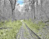 496 Dillon Hollow Road, Jane Lew, West Virginia 26378, 0 , 0 ,0,Lots/land,For Sale,Dillon Hollow,0,10163995