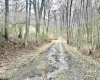 496 Dillon Hollow Road, Jane Lew, West Virginia 26378, 0 , 0 ,0,Lots/land,For Sale,Dillon Hollow,0,10163995