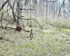 496 Dillon Hollow Road, Jane Lew, West Virginia 26378, 0 , 0 ,0,Lots/land,For Sale,Dillon Hollow,0,10163995