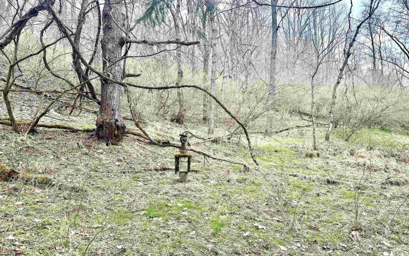 496 Dillon Hollow Road, Jane Lew, West Virginia 26378, 0 , 0 ,0,Lots/land,For Sale,Dillon Hollow,0,10163995