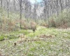 496 Dillon Hollow Road, Jane Lew, West Virginia 26378, 0 , 0 ,0,Lots/land,For Sale,Dillon Hollow,0,10163995