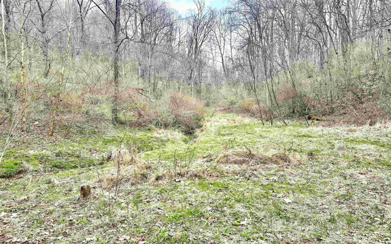496 Dillon Hollow Road, Jane Lew, West Virginia 26378, 0 , 0 ,0,Lots/land,For Sale,Dillon Hollow,0,10163995