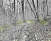 496 Dillon Hollow Road, Jane Lew, West Virginia 26378, 0 , 0 ,0,Lots/land,For Sale,Dillon Hollow,0,10163995