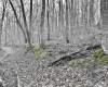 496 Dillon Hollow Road, Jane Lew, West Virginia 26378, 0 , 0 ,0,Lots/land,For Sale,Dillon Hollow,0,10163995