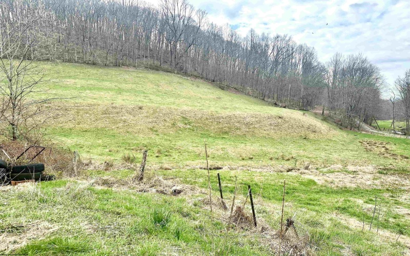 496 Dillon Hollow Road, Jane Lew, West Virginia 26378, 0 , 0 ,0,Lots/land,For Sale,Dillon Hollow,0,10163995