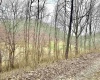 496 Dillon Hollow Road, Jane Lew, West Virginia 26378, 0 , 0 ,0,Lots/land,For Sale,Dillon Hollow,0,10163995