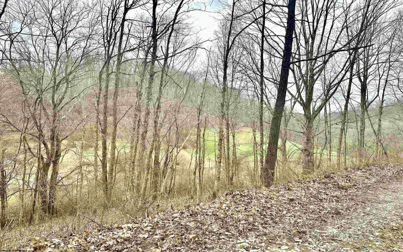 496 Dillon Hollow Road, Jane Lew, West Virginia 26378, 0 , 0 ,0,Lots/land,For Sale,Dillon Hollow,0,10163995