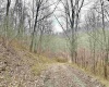 496 Dillon Hollow Road, Jane Lew, West Virginia 26378, 0 , 0 ,0,Lots/land,For Sale,Dillon Hollow,0,10163995
