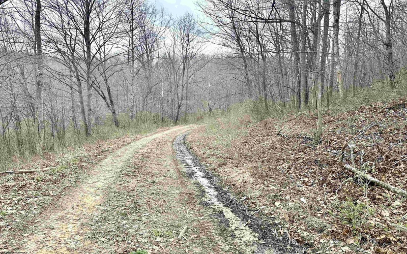 496 Dillon Hollow Road, Jane Lew, West Virginia 26378, 0 , 0 ,0,Lots/land,For Sale,Dillon Hollow,0,10163995