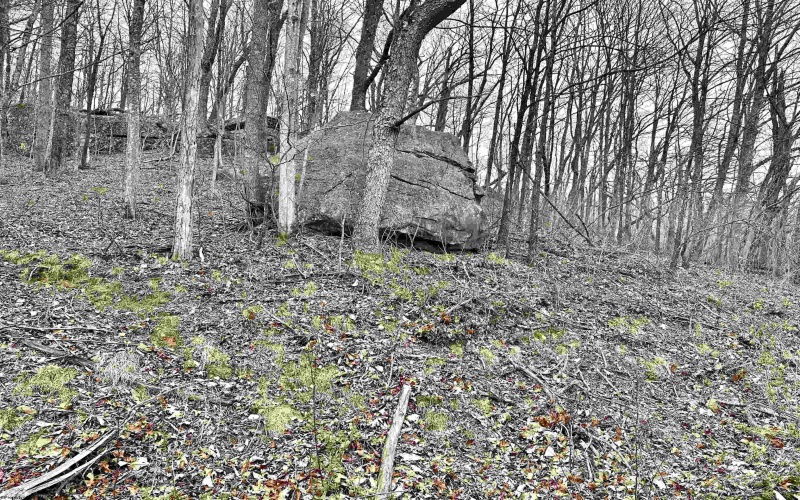 496 Dillon Hollow Road, Jane Lew, West Virginia 26378, 0 , 0 ,0,Lots/land,For Sale,Dillon Hollow,0,10163995
