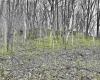 496 Dillon Hollow Road, Jane Lew, West Virginia 26378, 0 , 0 ,0,Lots/land,For Sale,Dillon Hollow,0,10163995