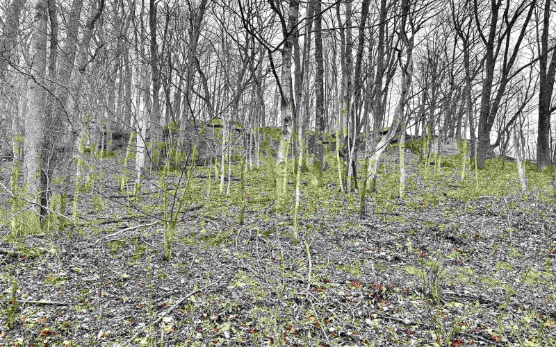 496 Dillon Hollow Road, Jane Lew, West Virginia 26378, 0 , 0 ,0,Lots/land,For Sale,Dillon Hollow,0,10163995
