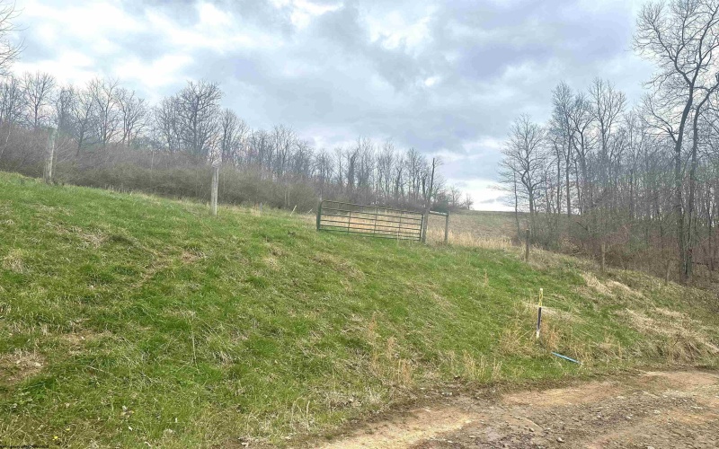 496 Dillon Hollow Road, Jane Lew, West Virginia 26378, 0 , 0 ,0,Lots/land,For Sale,Dillon Hollow,0,10163995