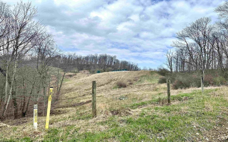 496 Dillon Hollow Road, Jane Lew, West Virginia 26378, 0 , 0 ,0,Lots/land,For Sale,Dillon Hollow,0,10163995