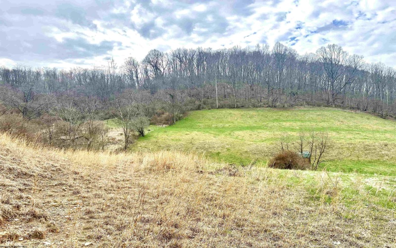 496 Dillon Hollow Road, Jane Lew, West Virginia 26378, 0 , 0 ,0,Lots/land,For Sale,Dillon Hollow,0,10163995