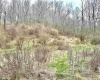 496 Dillon Hollow Road, Jane Lew, West Virginia 26378, 0 , 0 ,0,Lots/land,For Sale,Dillon Hollow,0,10163995