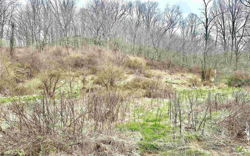 496 Dillon Hollow Road, Jane Lew, West Virginia 26378, 0 , 0 ,0,Lots/land,For Sale,Dillon Hollow,0,10163995