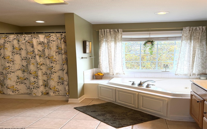 5 Point of View, Bridgeport, West Virginia 26330, 5 Bedroom Bedrooms, 10 Room Rooms,4 BathroomBathrooms,Single Family Detached,For Sale,Point of,0,10167434