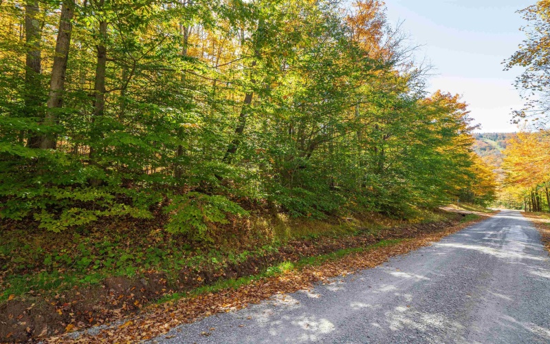 110 Fern Lane, Davis, West Virginia 26260, 0 , 0 ,0,Lots/land,For Sale,Fern,0,10167443