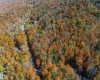 110 Fern Lane, Davis, West Virginia 26260, 0 , 0 ,0,Lots/land,For Sale,Fern,0,10167443