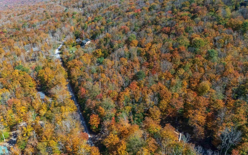 110 Fern Lane, Davis, West Virginia 26260, 0 , 0 ,0,Lots/land,For Sale,Fern,0,10167443