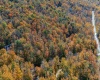 110 Fern Lane, Davis, West Virginia 26260, 0 , 0 ,0,Lots/land,For Sale,Fern,0,10167443