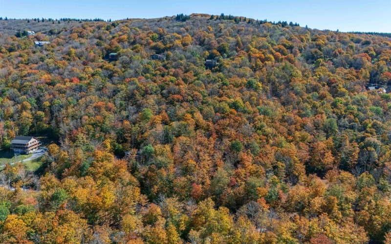 110 Fern Lane, Davis, West Virginia 26260, 0 , 0 ,0,Lots/land,For Sale,Fern,0,10167443